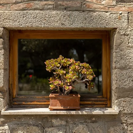 Ξενοδοχείο Castello Monticello 3*